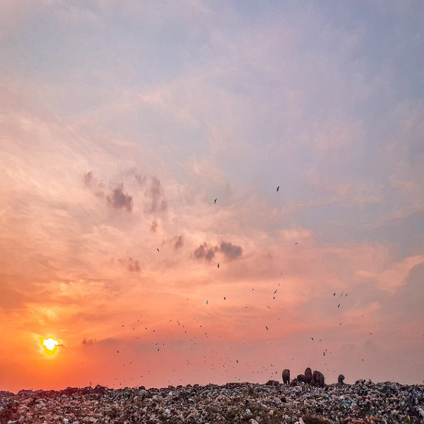 rubbish removal worker portrait
